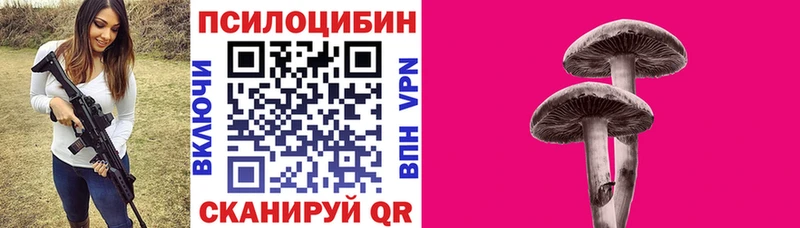 Псилоцибиновые грибы прущие грибы  дарнет шоп  Зима 